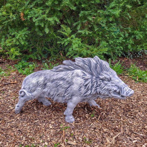 Wildschwein eber sau - wildschwein,