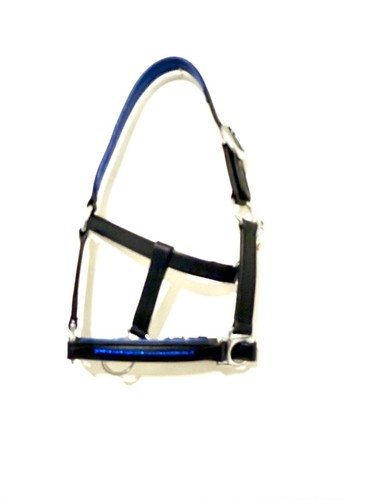 Kopfband mini shetland - mini, schwarz