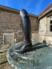 cavallo primus lange