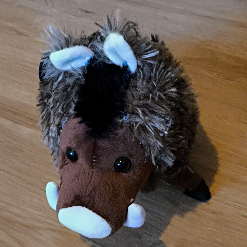 Wildschwein kuscheltier - wildschwein,