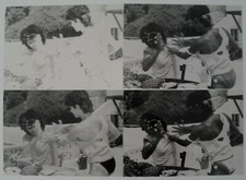 Druckfilm(CMYK) für