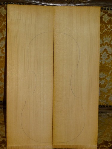 Tonholz tonewood schöne - tonewood,,