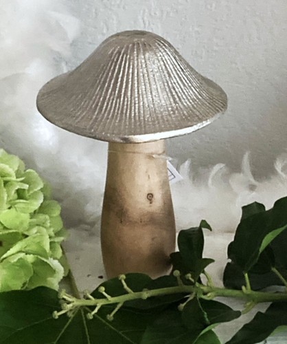 Großer pilz fliegenpilz - pilz,