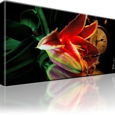Lilie Blume Uhr Bild Bilder Leinwand Keilrahmen Wandbild Kunstdruck