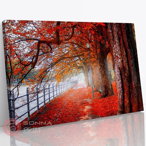 Herbst rotes blatt fall kanal - blatt,