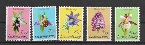 Luxemburg 1975 caritas - luxemburg,