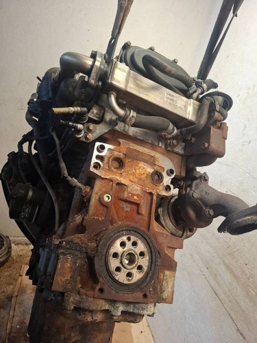 Fiat iveco daily - iveco,