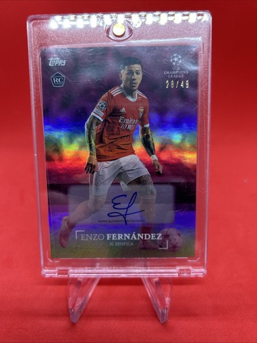 Enzo fernandes auto - , numbers
