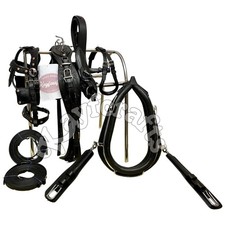 Schwarzes Leder Pferde