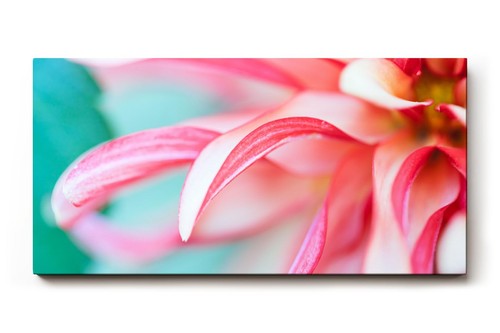 Sinus art wandbild - sinus,