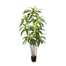 PASCH® Dracaena Kunstpalme