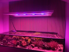 Aquarium lampe giesemann aura - aquarium,