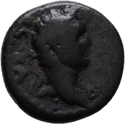 Ionien domitian bronze 14 - domitian,
