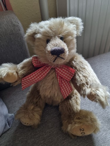 Teddybär sunkid 2000 - teddybär,