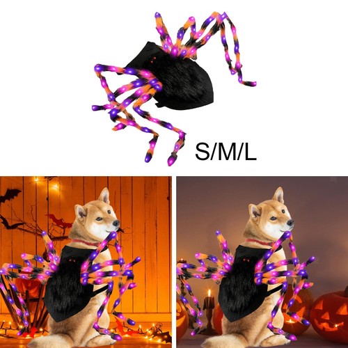 Halloween hund kostüm - kostüm, mit