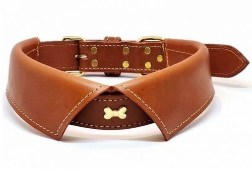 Hundehalsband echt leder - hundehalsband,