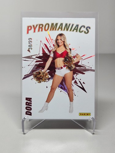 2023 panini rhein fire - panini,