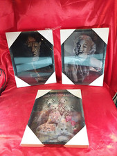 3 x 3D Bild im Rahmen Marilyn Monroe Wolf Katze Hund Tiger Gebhard (4377)