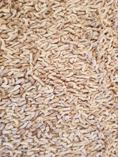 Wollteppich Tisca Olbia Stella 130 x 210 cm Farbe ecru 100% naturbel. Schurwolle