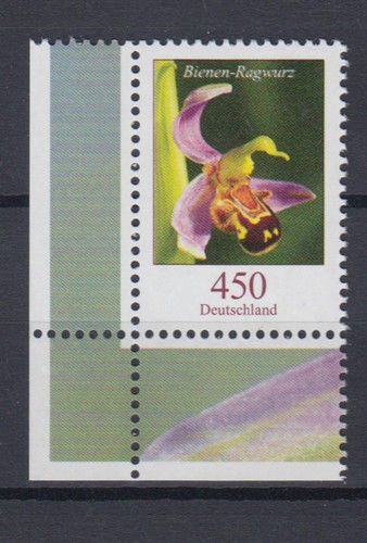 Bund 3191 eckrand links unten - bund,