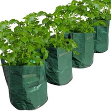 Speedwellstar 4er Pack