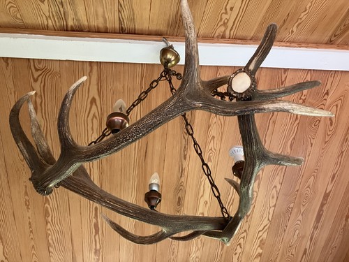 Geweihlampe lampe aus - lampe,