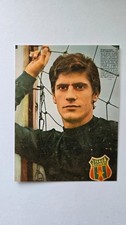 Vasile Iordache, Rumänien