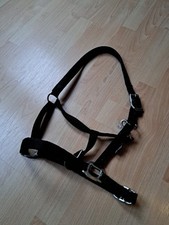 Halfter full warmblut - halfter,