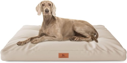 Knuffelwuff hundekissen gatsby - hundekissen,