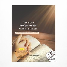 The Busy Professionals guide