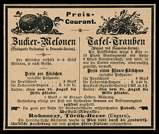 Werbung Reklame 1898 Zucker-Melonen Tafel-Trauben Rohonczy Török-Becse Ungarn