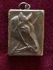 Altes Medaillon Pferdekopf