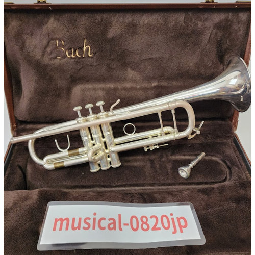 Bach stradivari modell - modell, 37