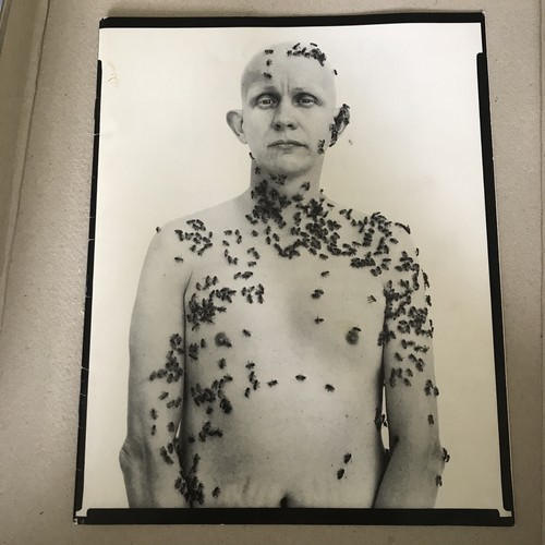 Richard avedon retrospektive - richard,