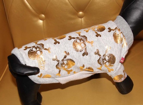 9279 angeldog hundekleidung - 9279,
