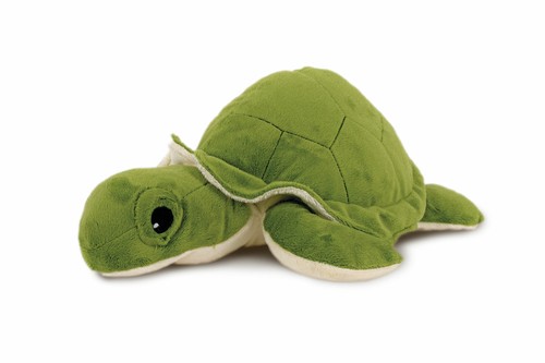 Wasser-Schildkröte