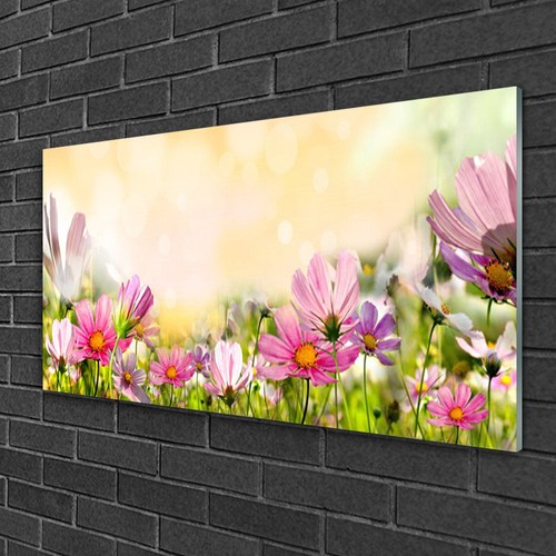 Glasbilder 100x50 wandbild - glasbilder,