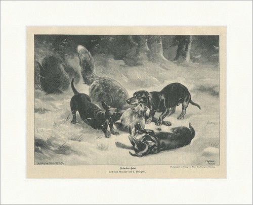 Reinekes ende gemälde - reinekes,