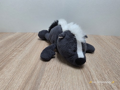 Nici stinktier skunk ca - -, /