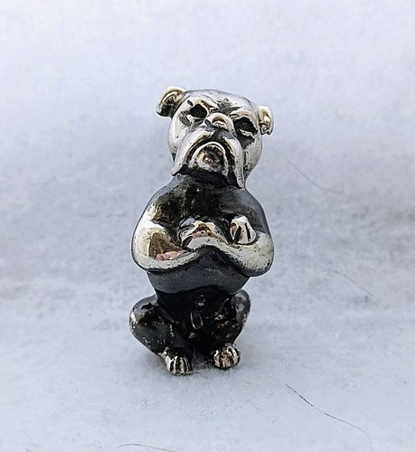 Hund french bulldog - bulldog,