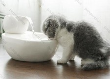Cat ceramic water fountain - ceramic,