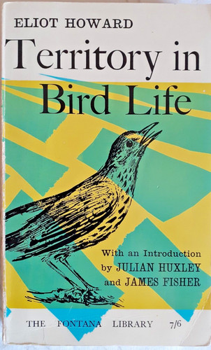 Territory bird life by - bird,