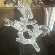 Swarovski Crystal Clear School