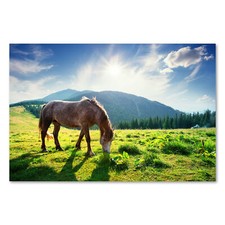 Postereck 2957 poster leinwand - 2957,