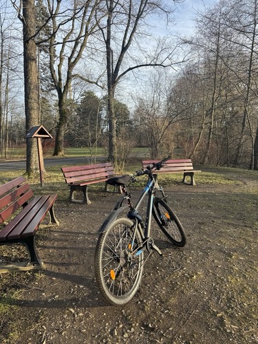 Rockrider mountainbike - 🚴,