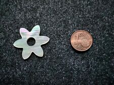 Original Charlotte 21 Ehinger