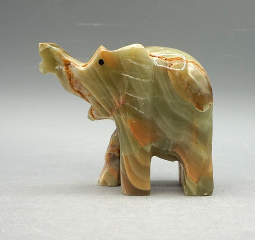 Wunderschöner elefant aus - elefant,