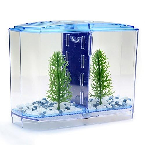 Betta aquarium 20l penn - betta,