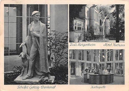 Bad mergentheim schäfer - mergentheim,