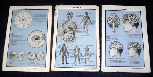 Augendiagnose - , –